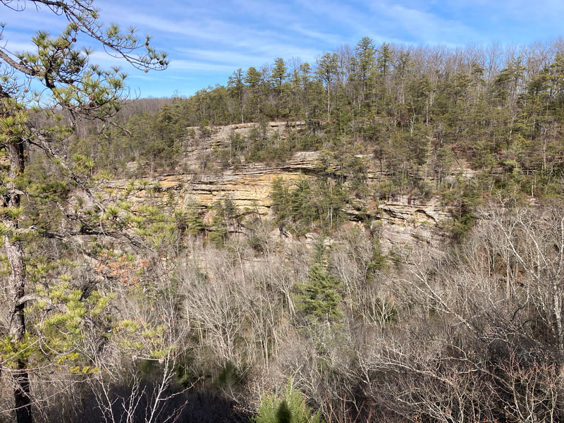 View of a brown-limestone cliff line dotted with green cedar trees and brown deciduous trees not yet in leaf